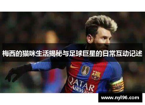 梅西的猫咪生活揭秘与足球巨星的日常互动记述