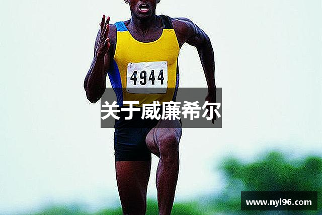 关于威廉希尔